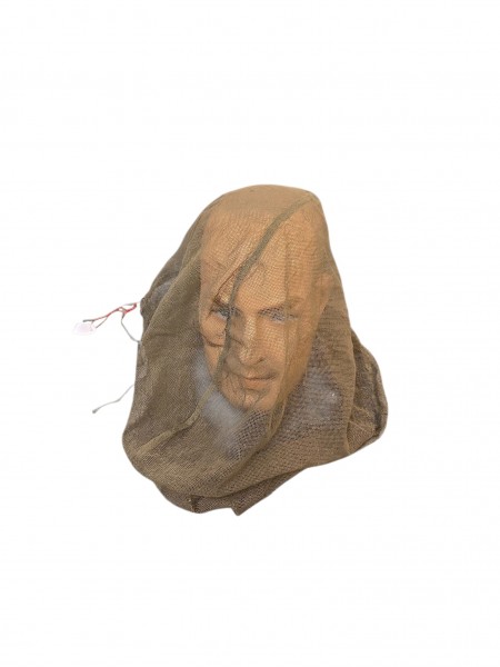 Wehrmacht Moskitoschutz