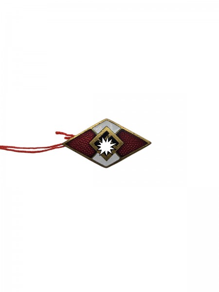 HJ Abzeichen in Gold