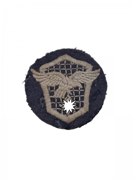 Luftwaffe Kraftfahrerabzeichen Staffelabzeichen