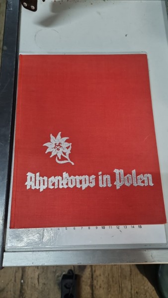 Original Alpenkorps in Polen