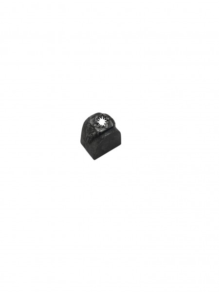 Original 3.Reich Ring Guss form