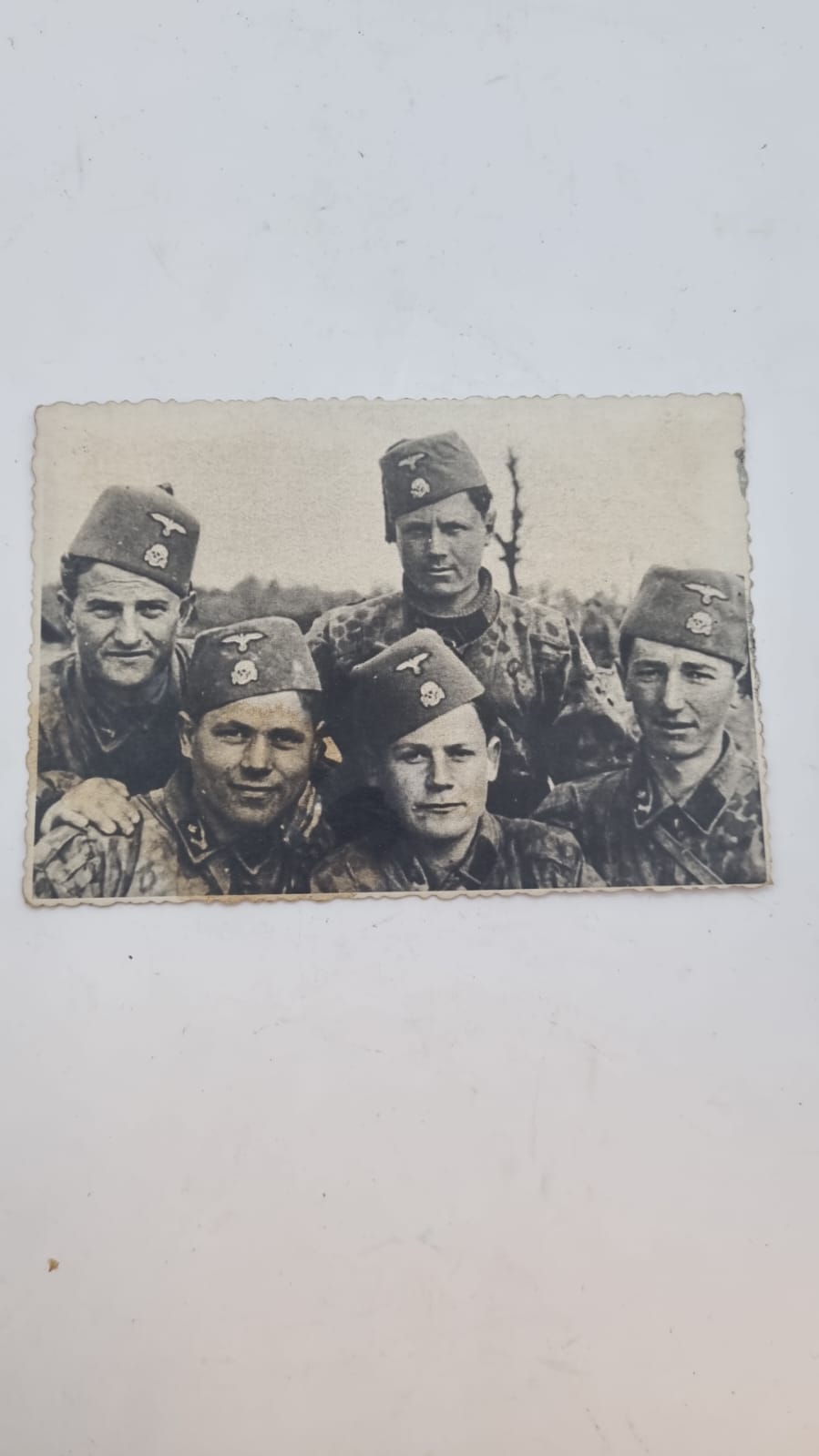 SS 1.3 main image 1