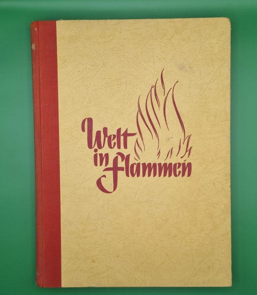 Welt in Flammen Buch