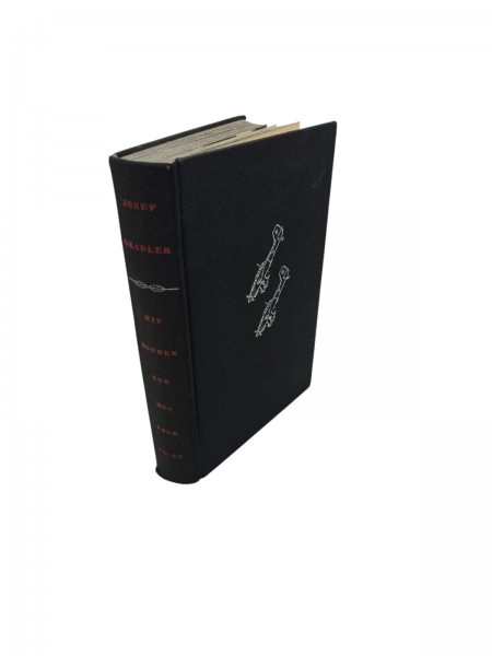 Mit Bomben und MGs über Polen Buch