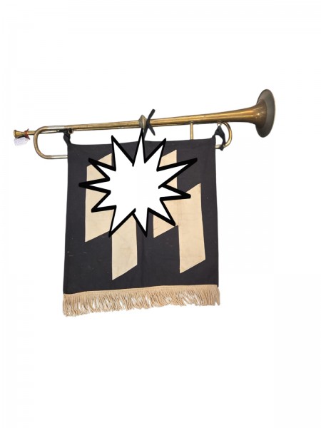 Posaune SS Flagge Original Posaune nicht gestempelt