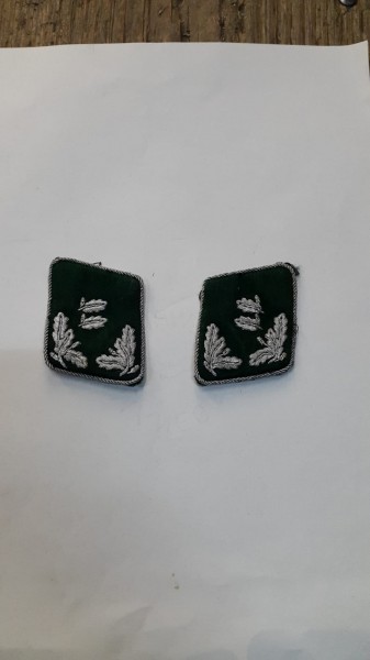 Forst Kragenspiegel Offizier