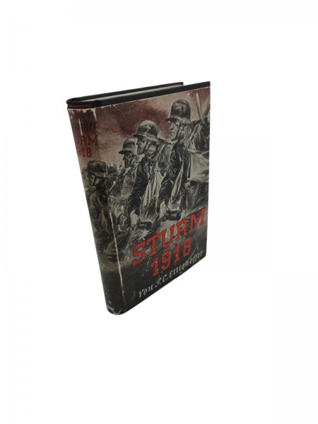 Sturm 1918 Buch