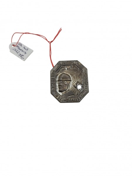 SA Amt Aufmarsch 1933 Anstecker