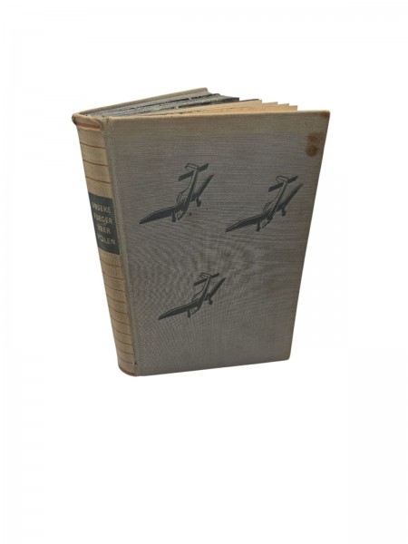 Unsere Flieger über Polen