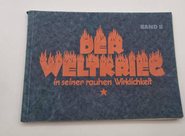 Der Weltkrieg in seiner rauhen Wirklichkeit Band 2